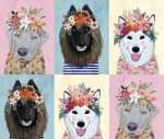 More Floral Puppies Panel in Multi by Blend Fabrics