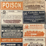Regions Beyond Apothecary in Multi by Tim Holtz for Free Spirit