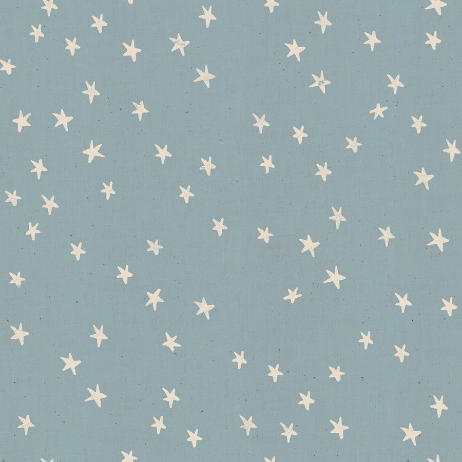 Starry in Soft Blue by Alexia Abegg for Ruby Star Society