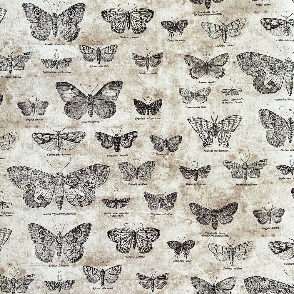 Butterflies by Tim Holtz for Free Spirit